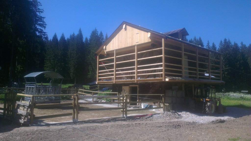 Ristrutturazione di fabbricato ad uso agricolo nel Comune di San Pietro di Cadore in localita’ Val Visdende